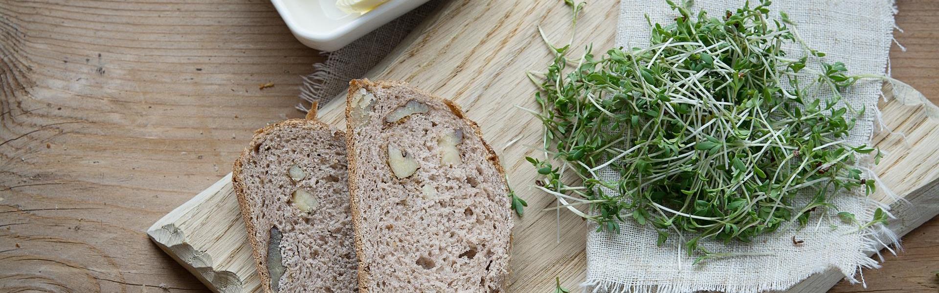 cress-1258124-1920