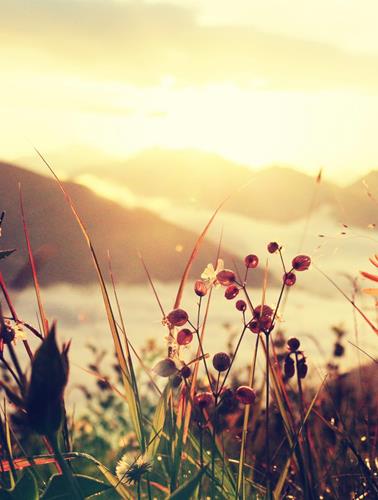 berg-und-blume-3-platz-francesco-sommacal-sonnenaufgang
